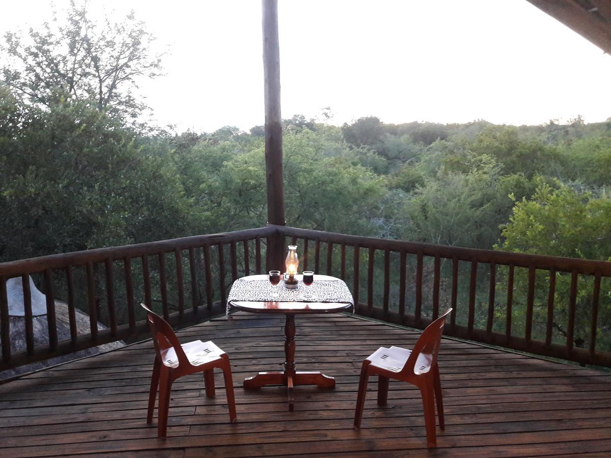 Little Bush Baby Marloth Park Exterior foto
