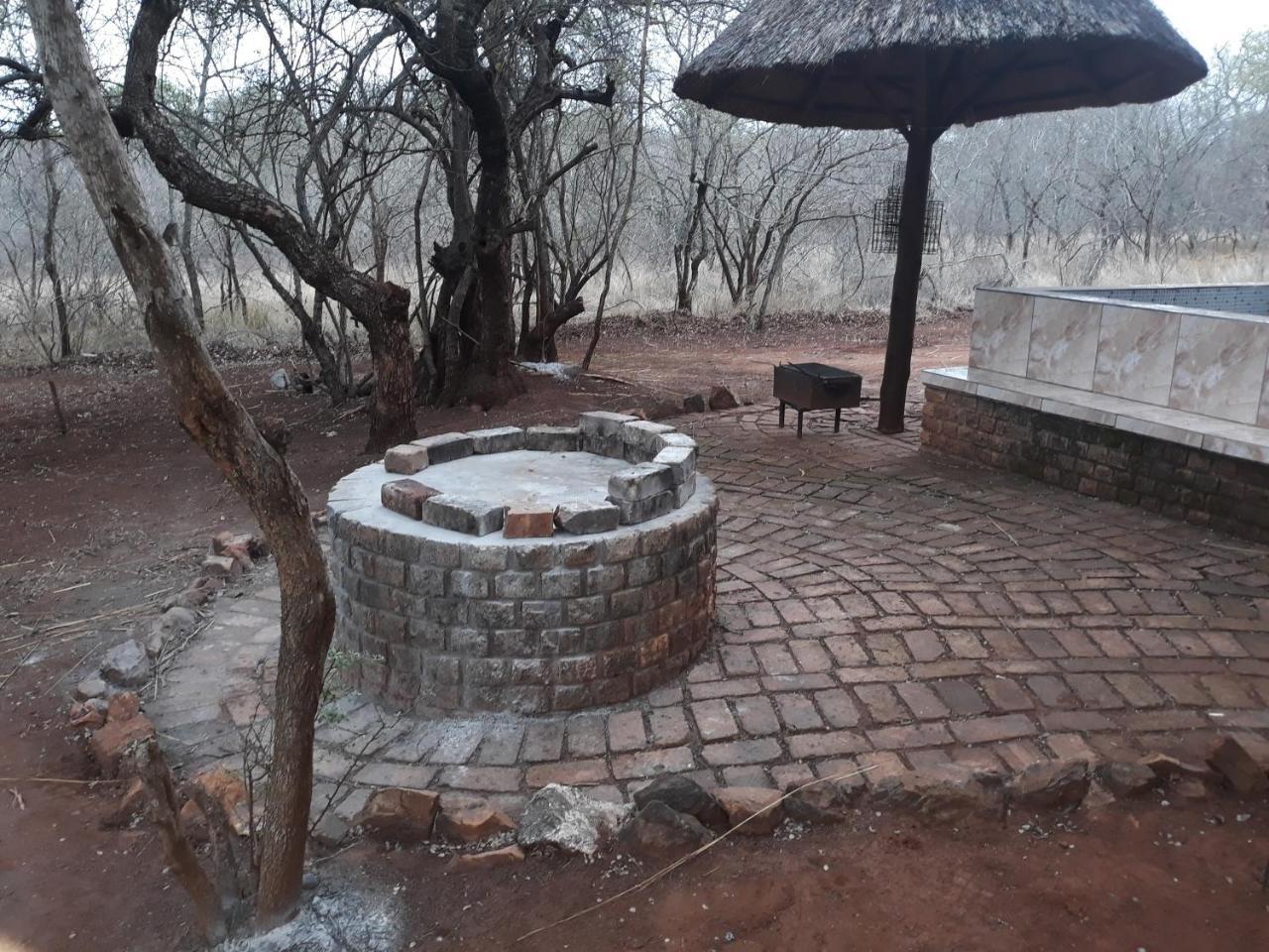 Little Bush Baby Marloth Park Exterior foto