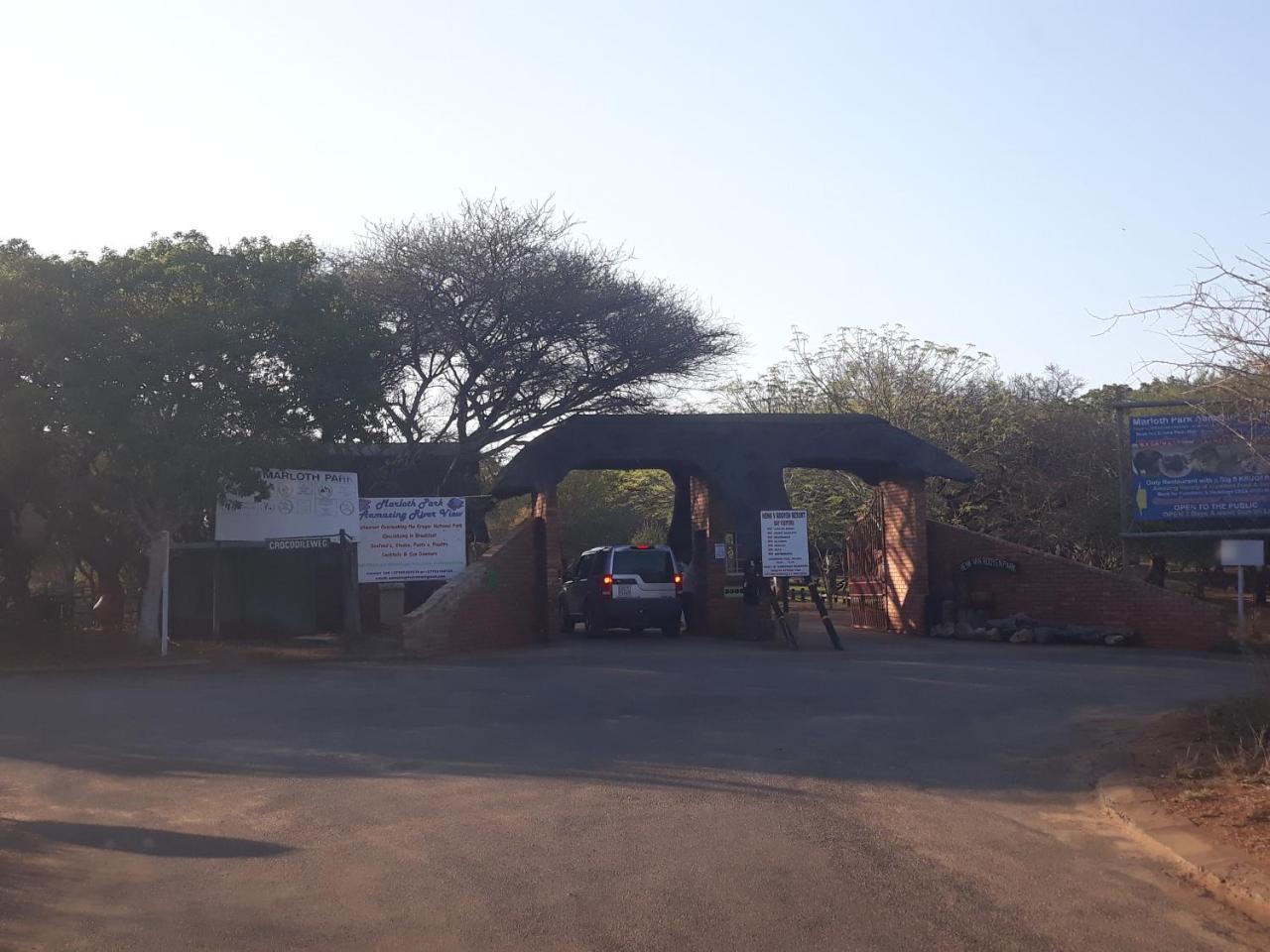 Little Bush Baby Marloth Park Exterior foto
