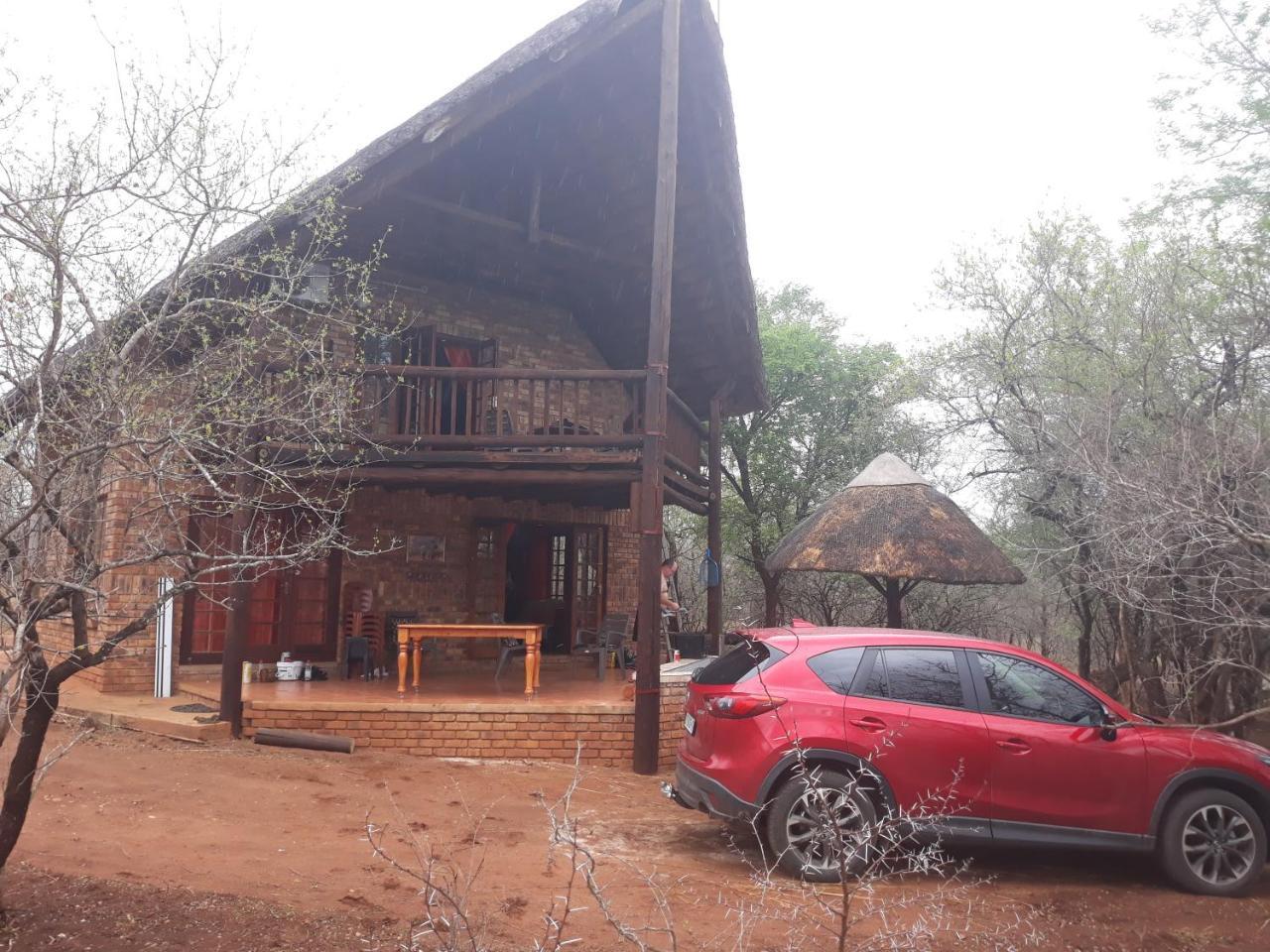 Little Bush Baby Marloth Park Exterior foto