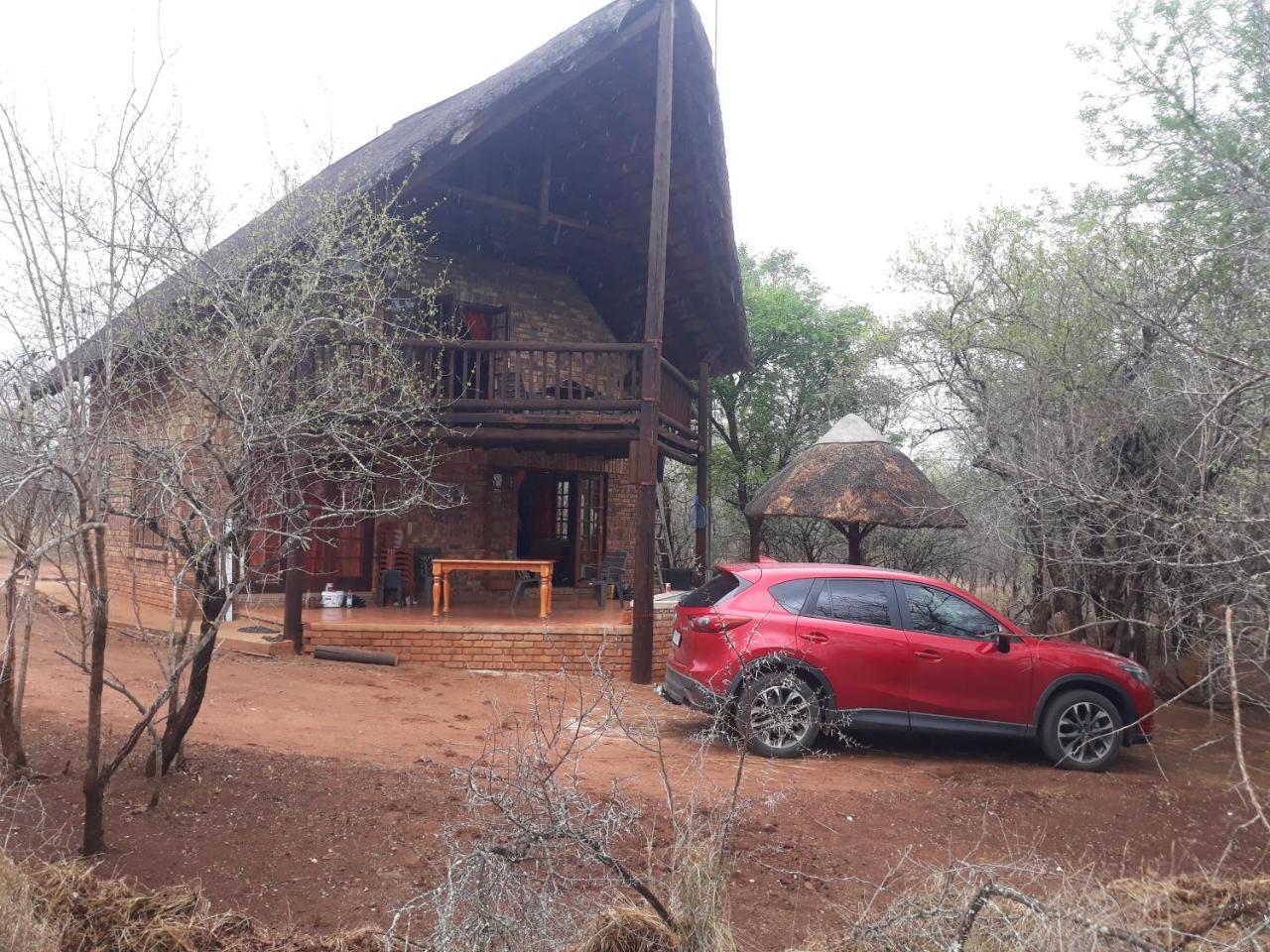 Little Bush Baby Marloth Park Exterior foto