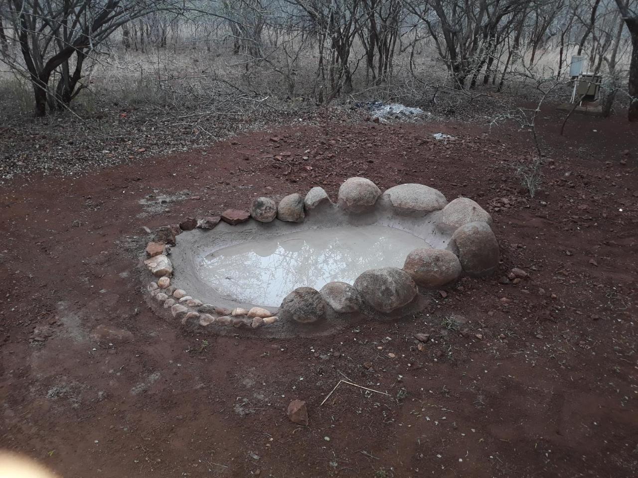 Little Bush Baby Marloth Park Exterior foto